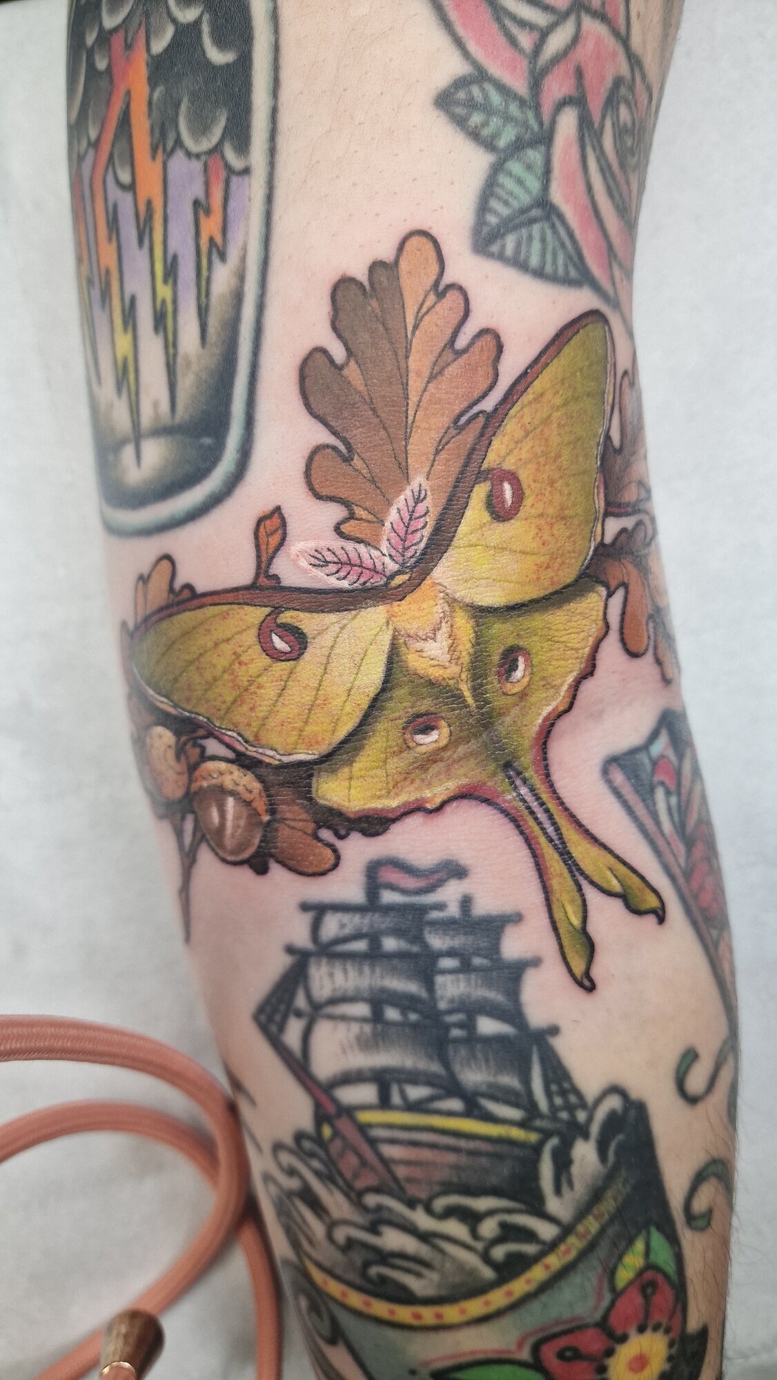 Miniature de la galerie