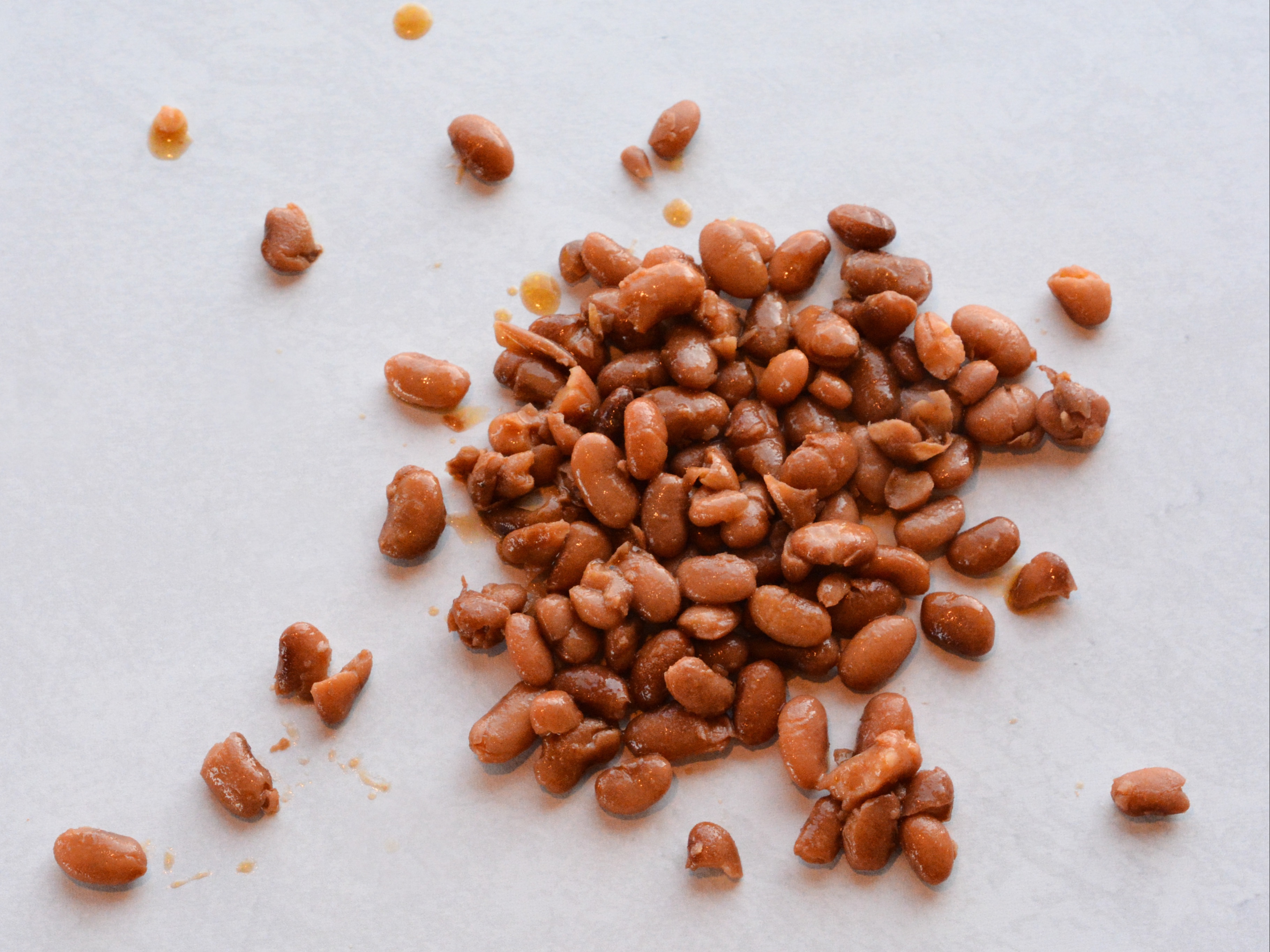 Pinto Beans