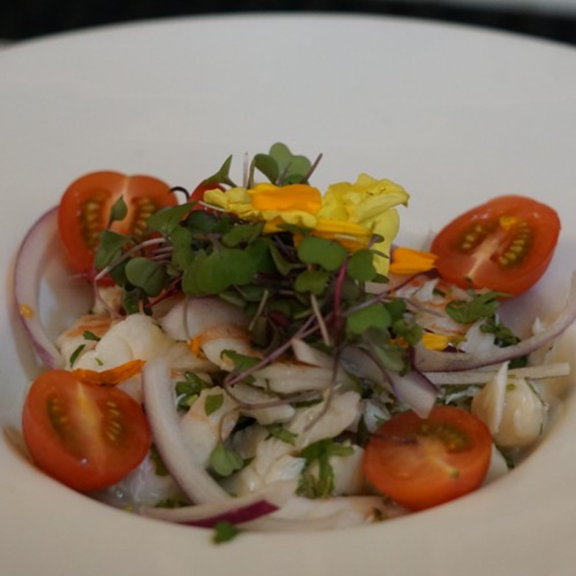 Byblos Ceviche