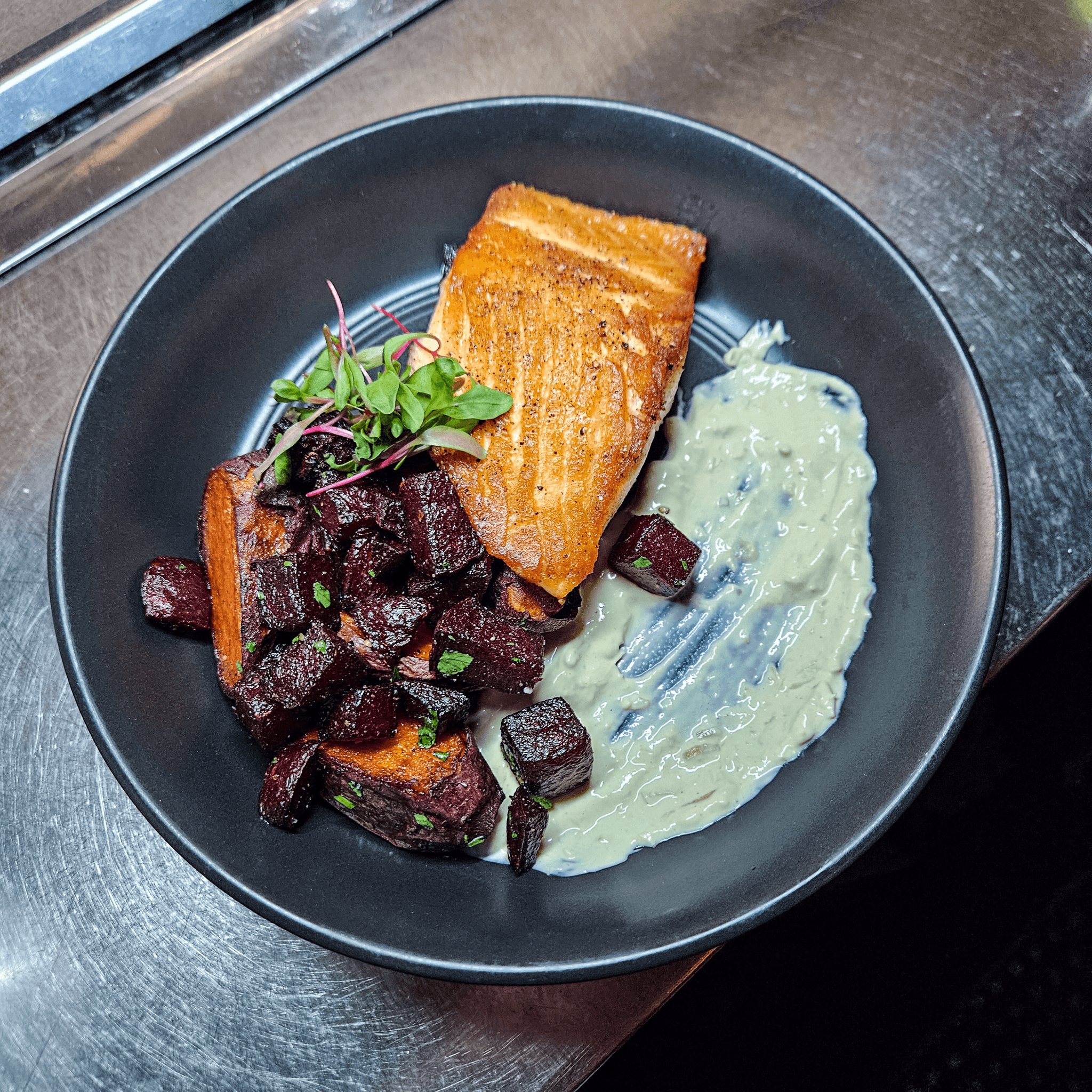 Salmon