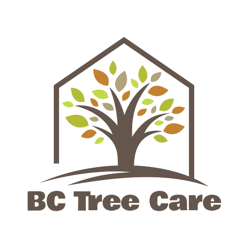BC Tree Care