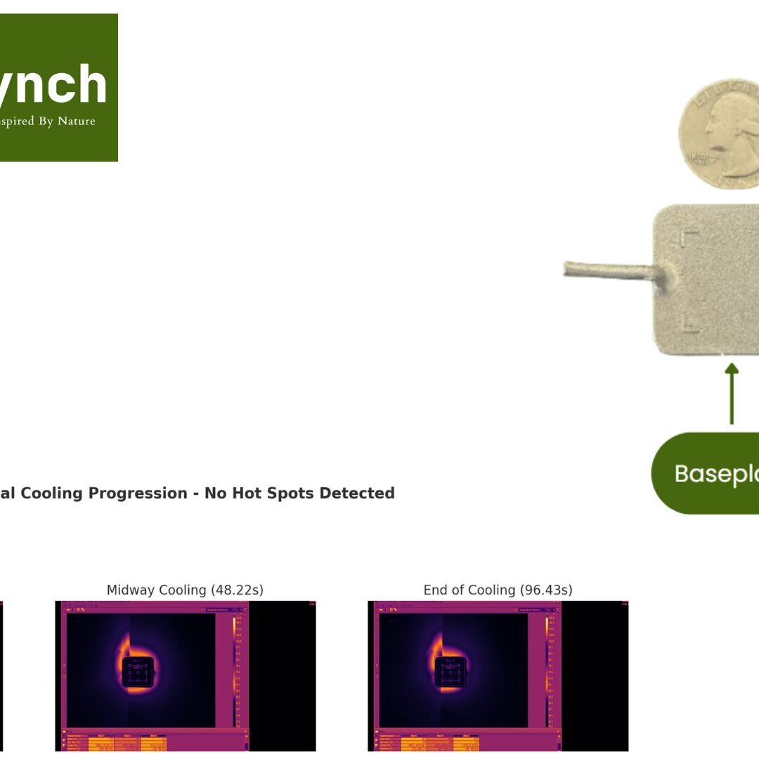 Kelvin & Kinetics Image