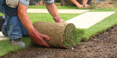 3 Helpful Tips for New Sod Care