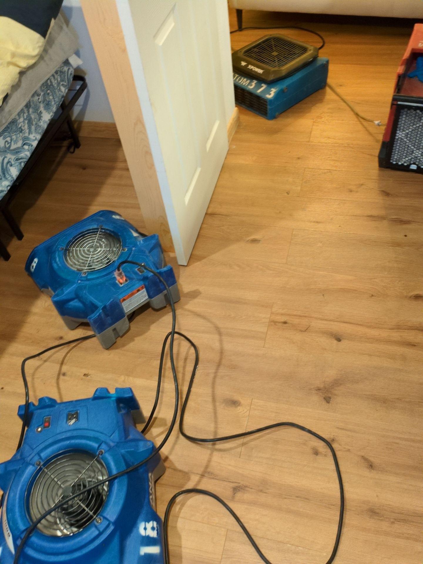 Anatom Restoration Image