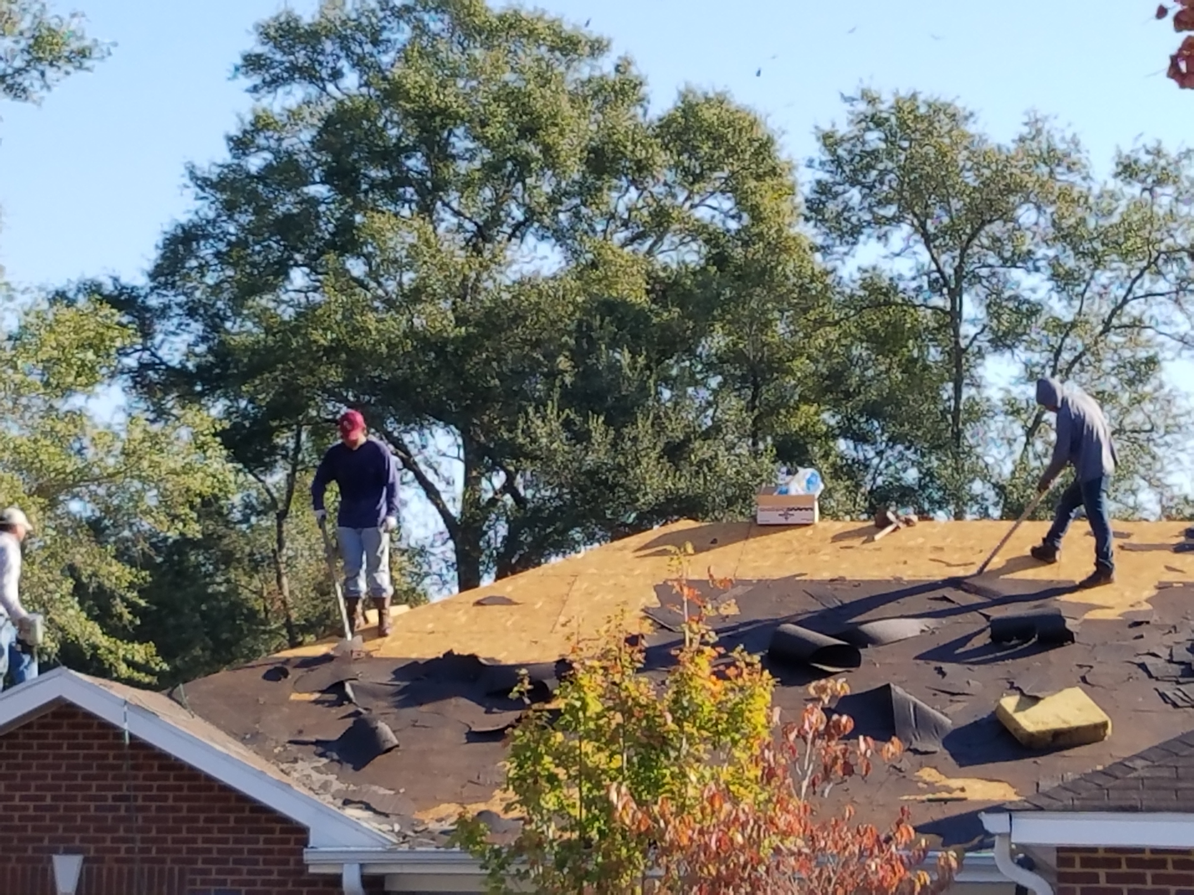  Roof Replacement Services