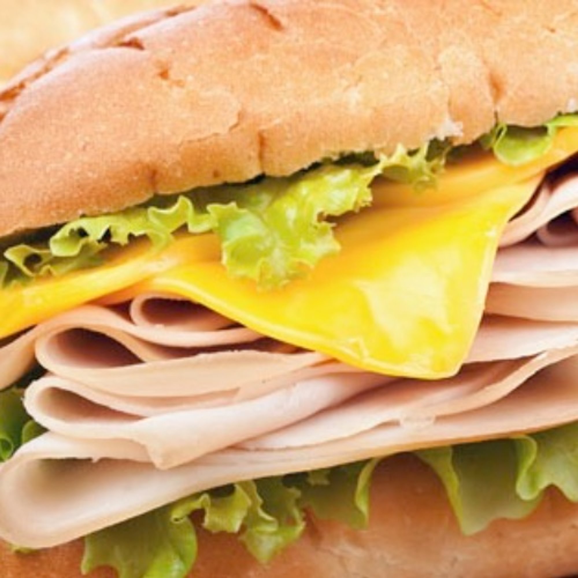 Turkey sub