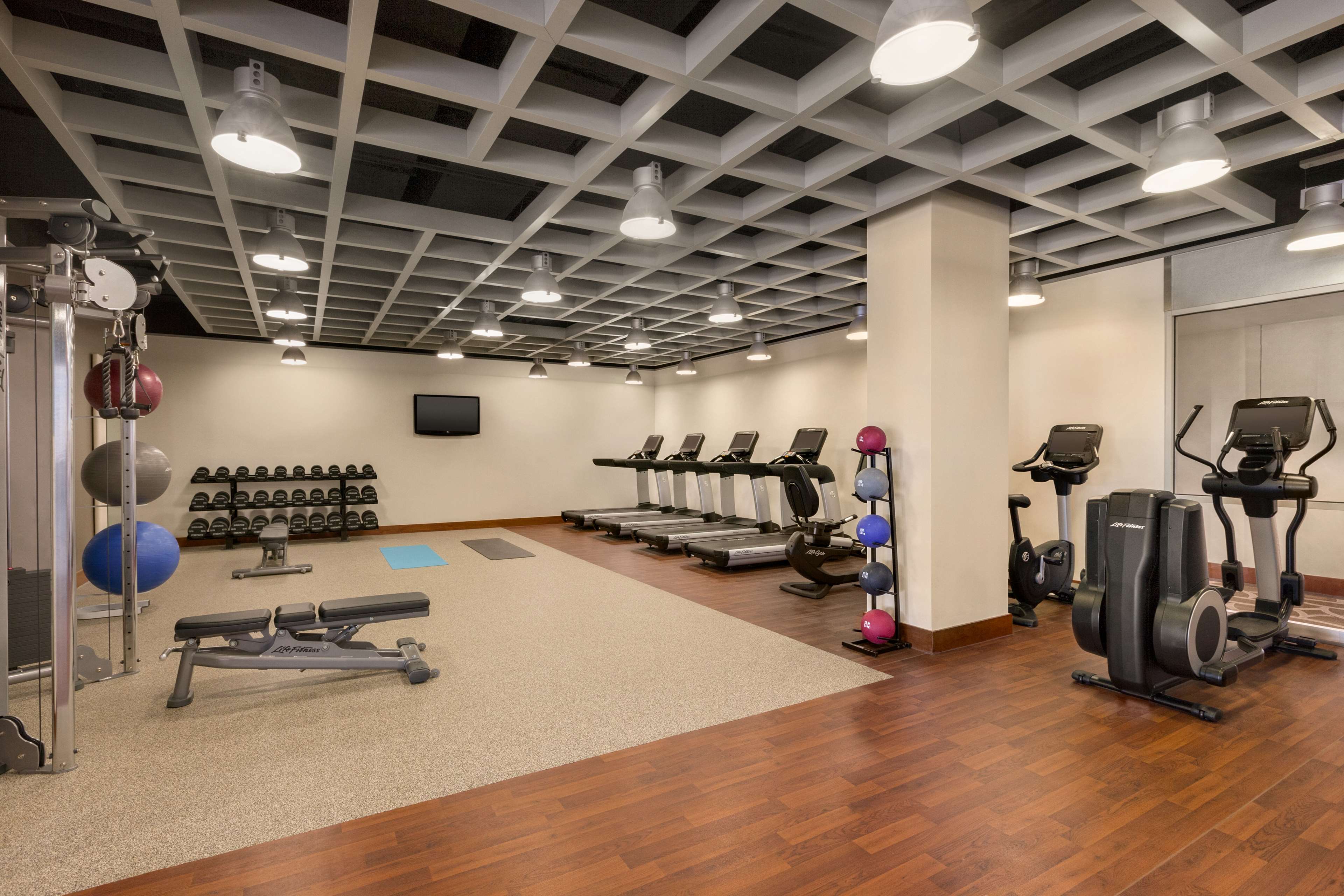 Health club  fitness center  gym