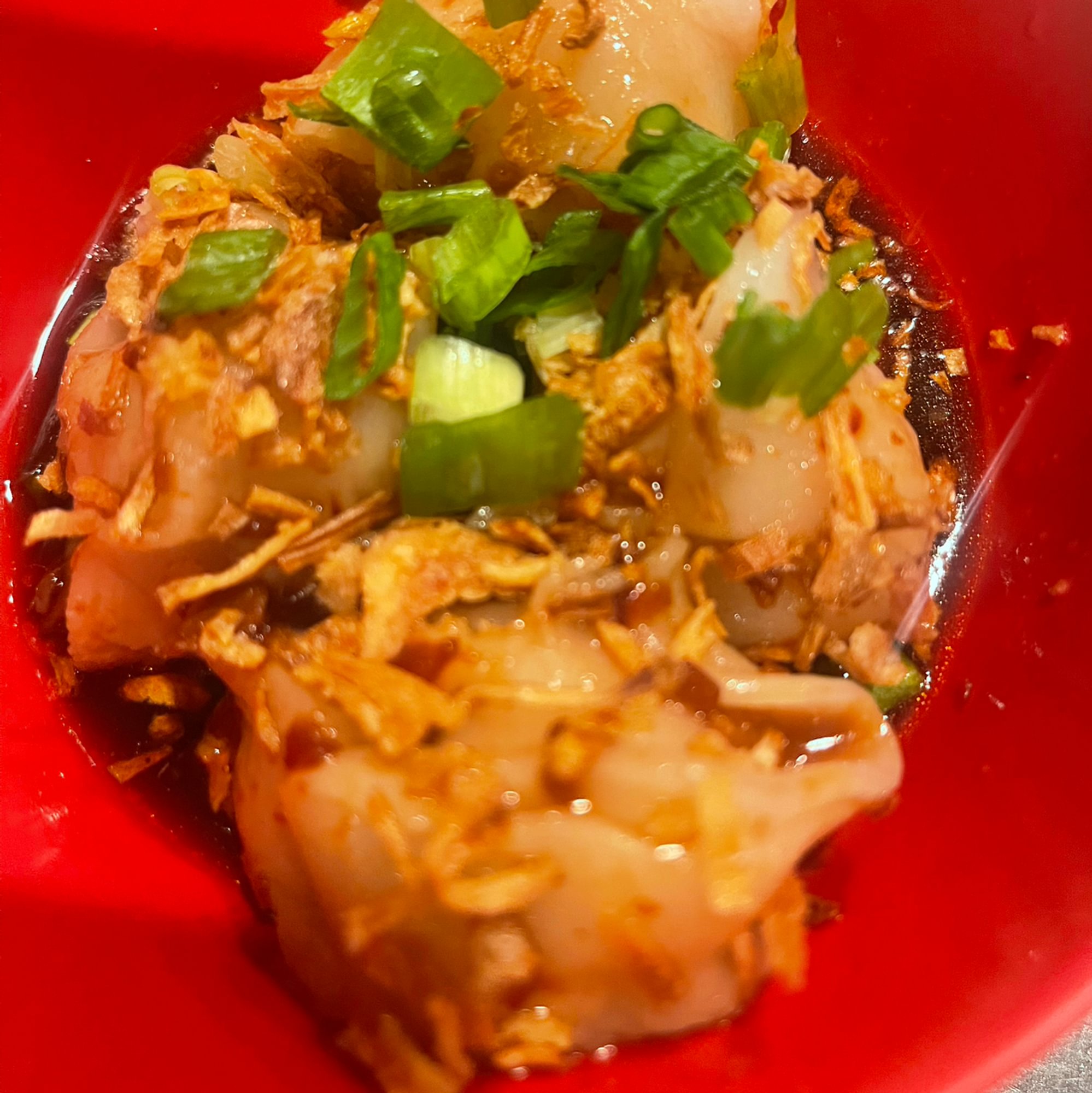 House Made Dumpling