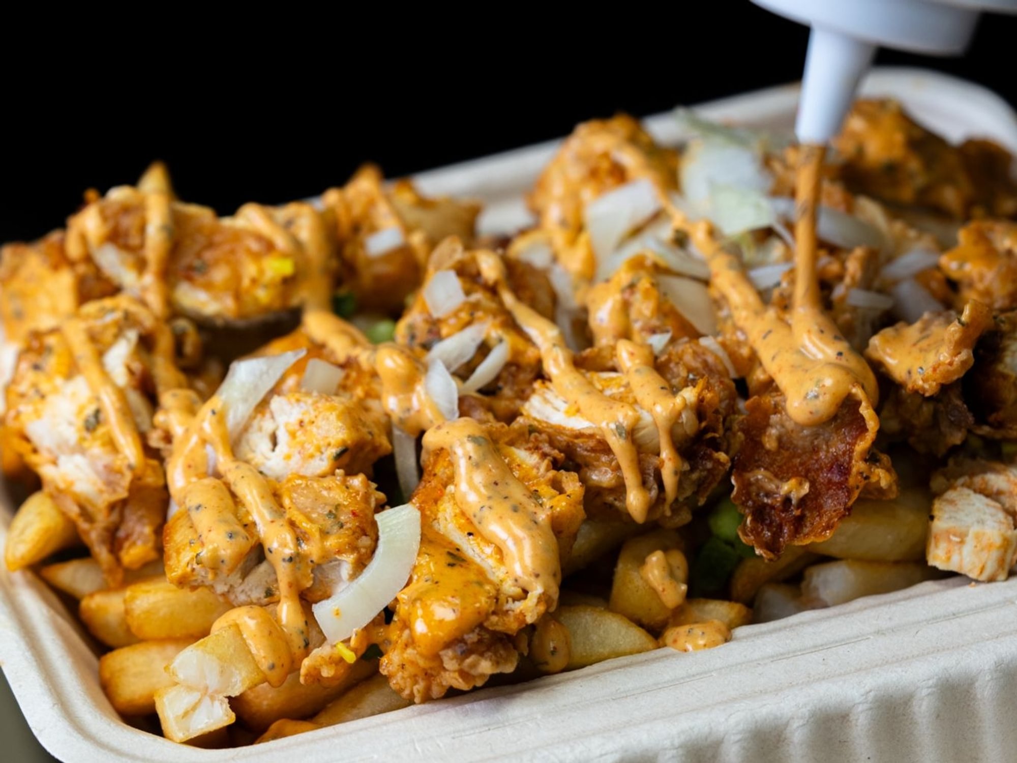 Crunch Loaded Fries
