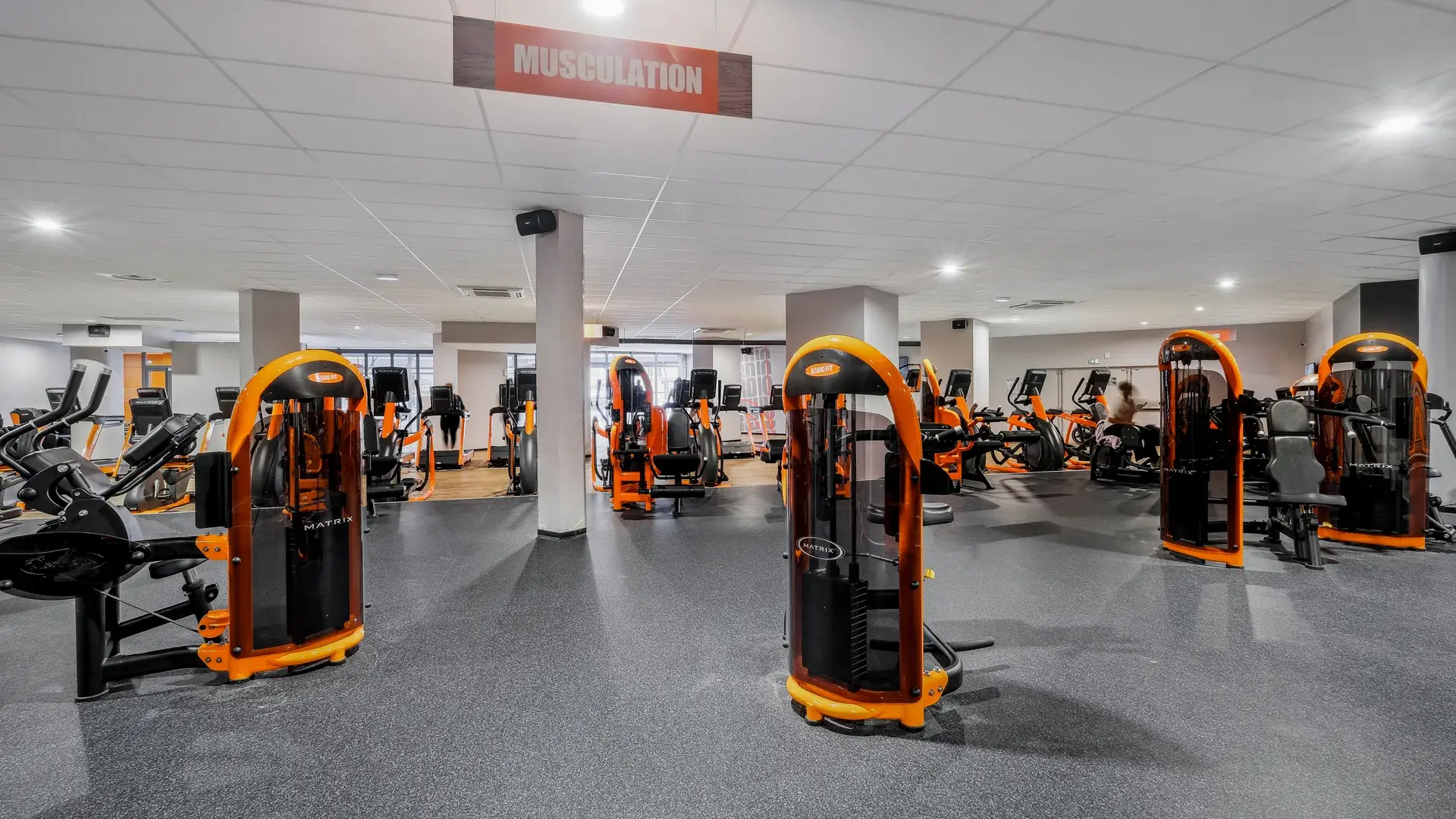 Miniature de la galerie