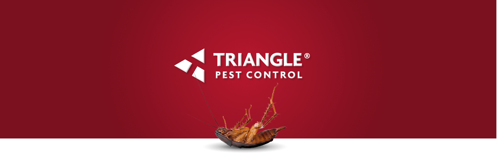 Triangle Pest Control Image