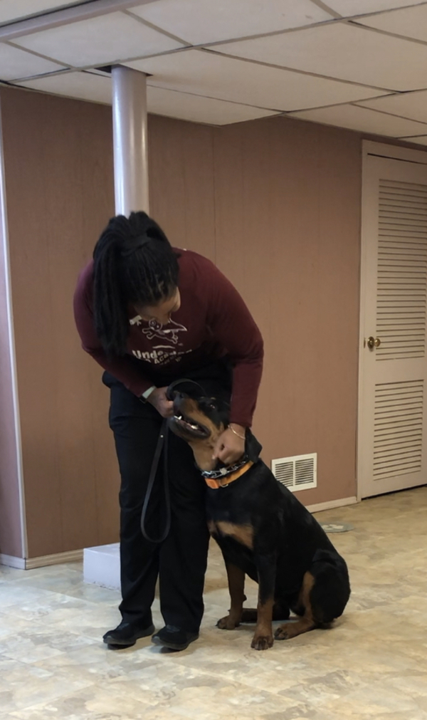 Underdog K-9 Academy LLC Image