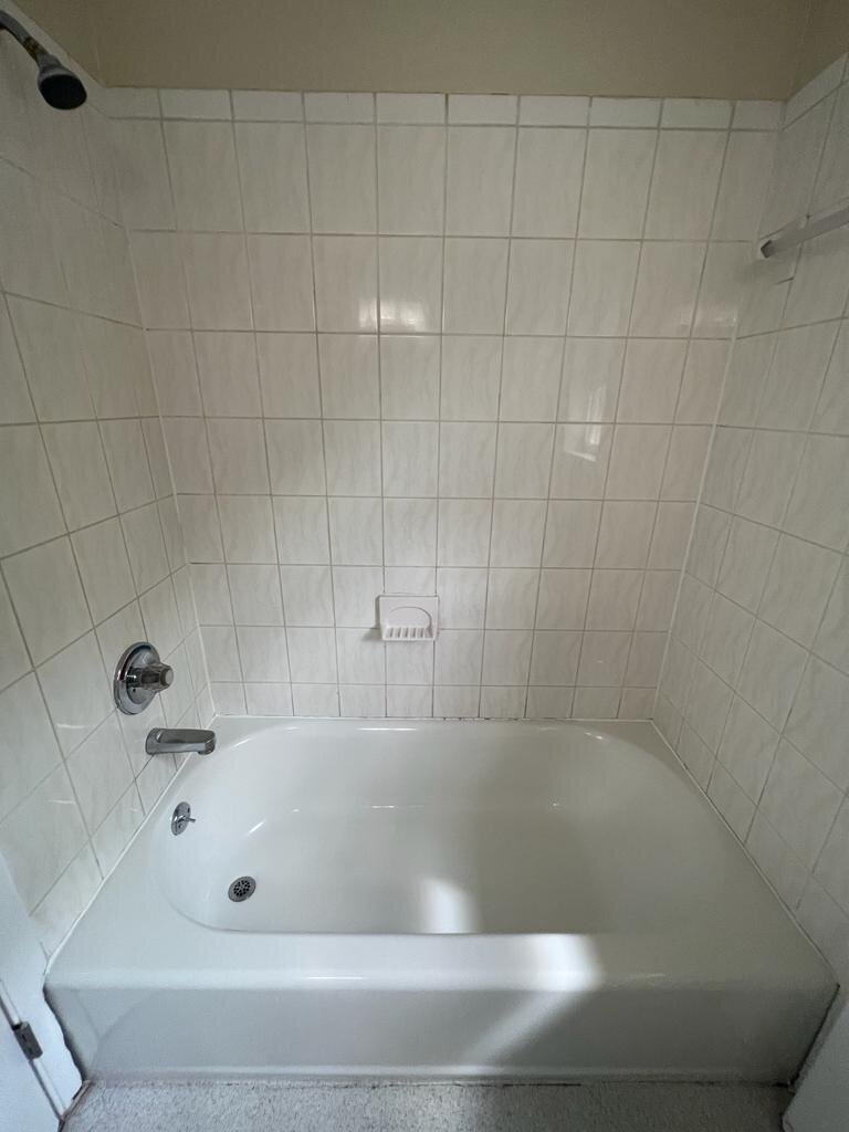 Neia's Shiny Solutions Image