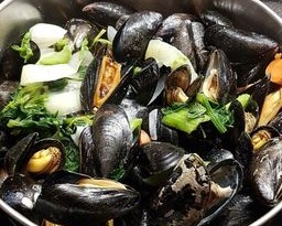 Bowl of One Pound of Drunken Mussels with or without Cream