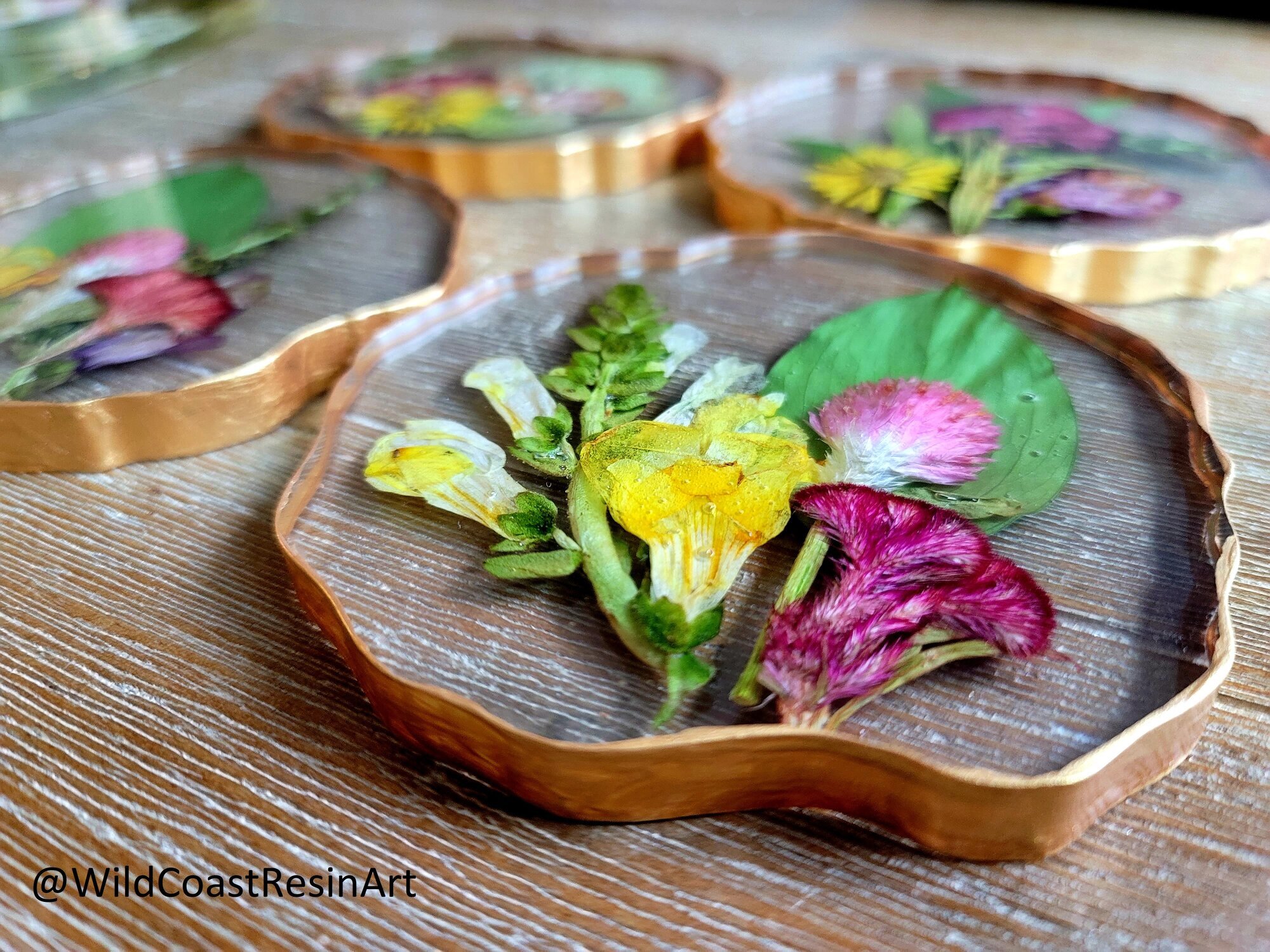 Wild Coast Flower Preservation Image