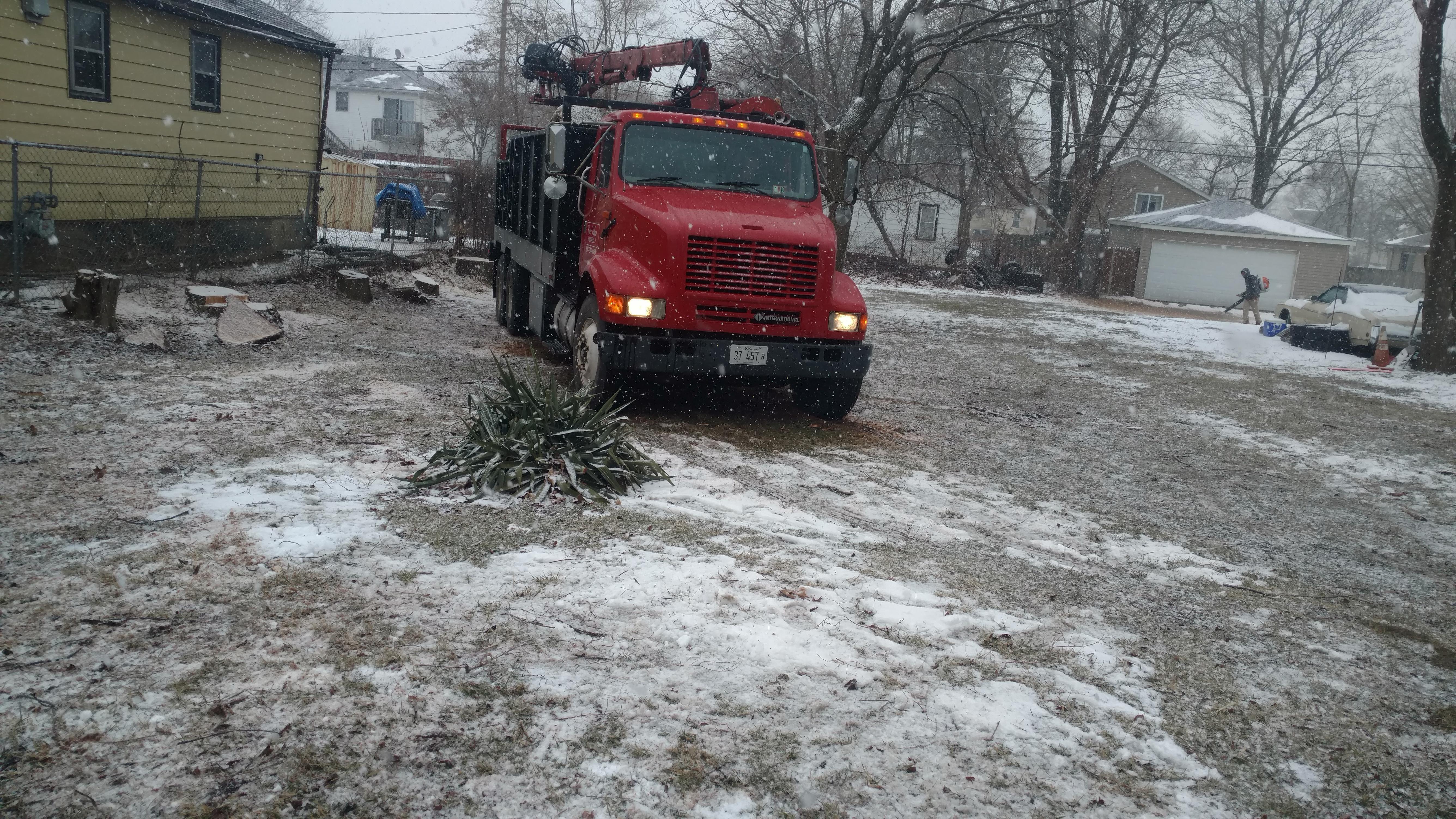 New Beginning Tree Service Company Image