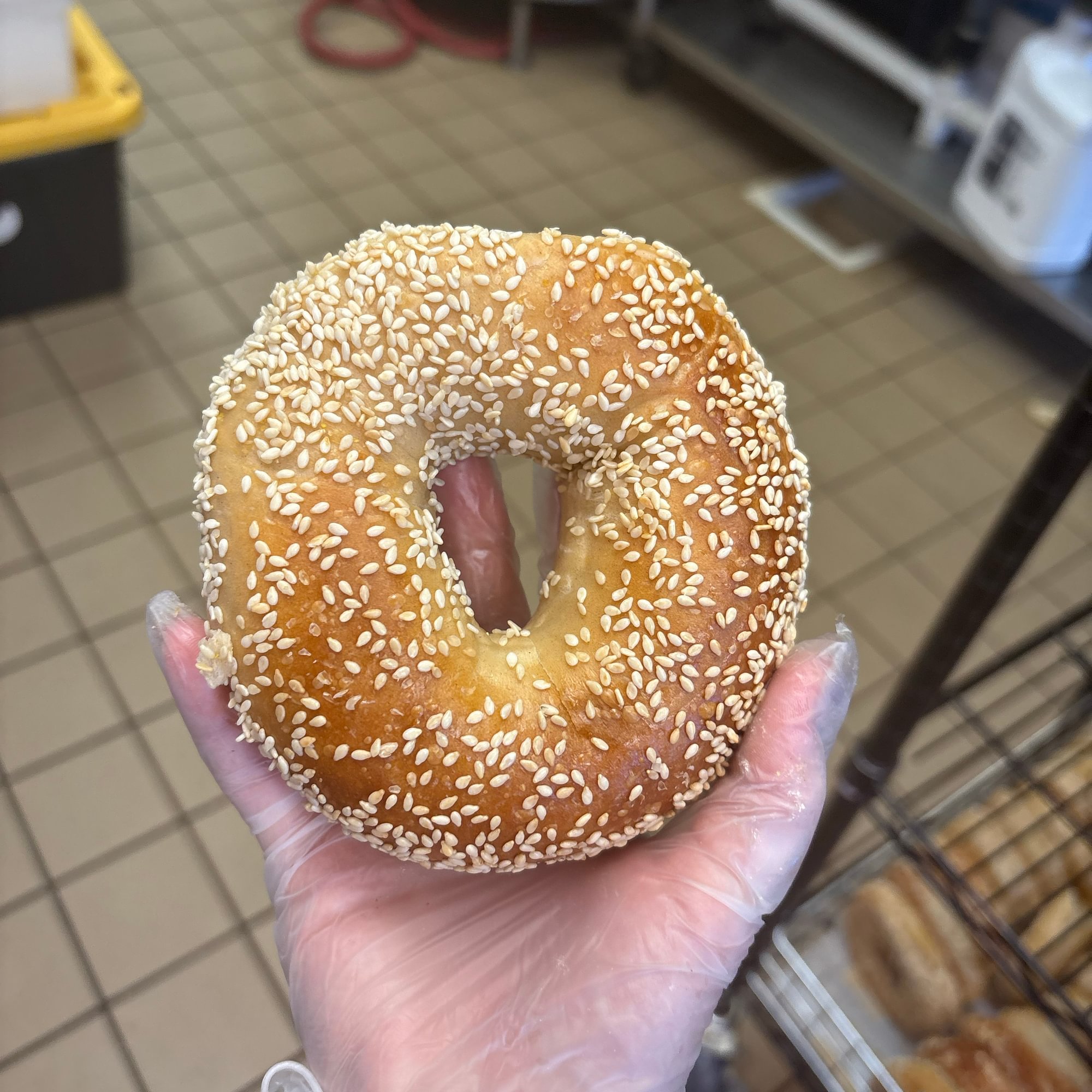 Sesame Bagel