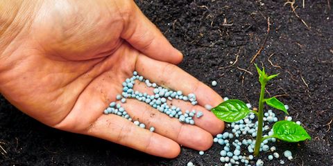 Create Beautiful Lawns With These Fertilization Techniques