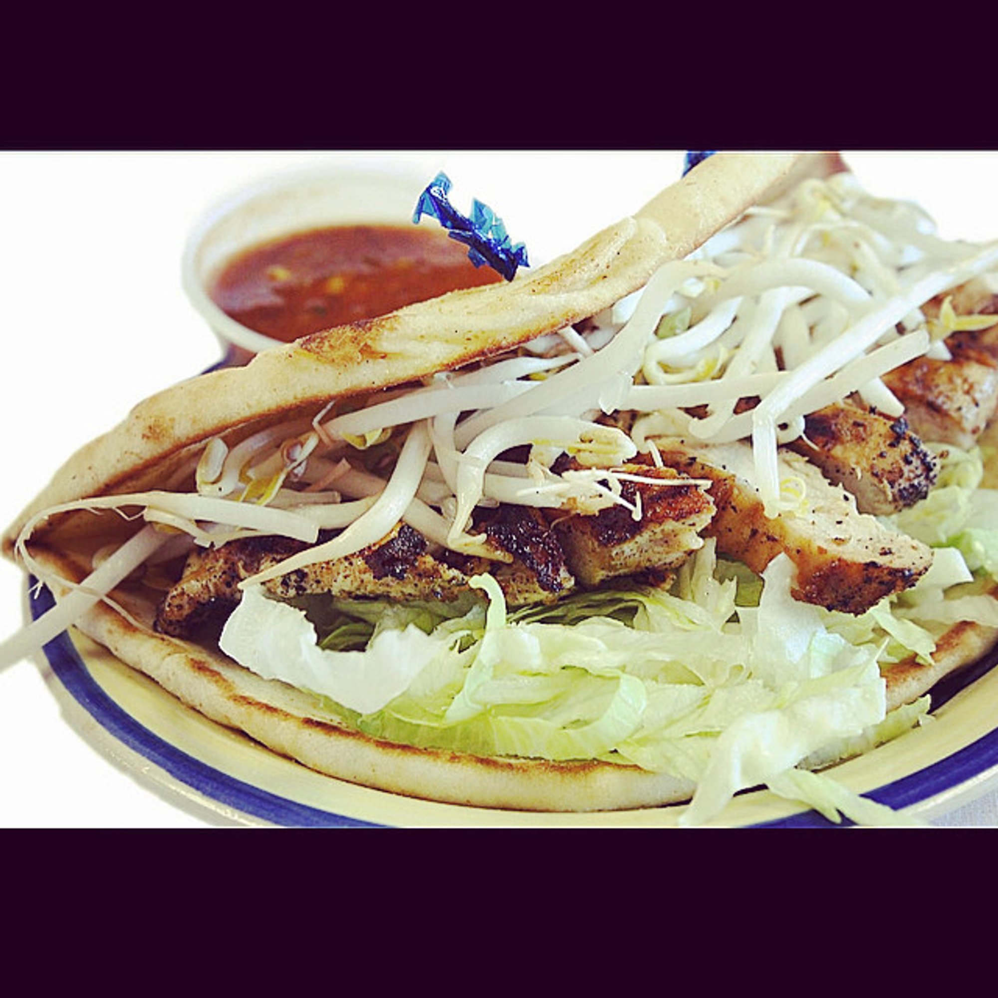 Fresco Chicken Pita