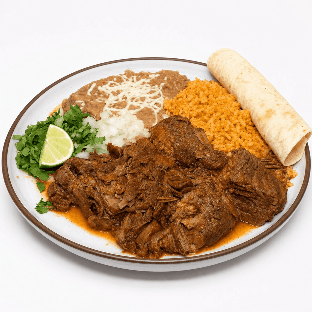 Birria Plate