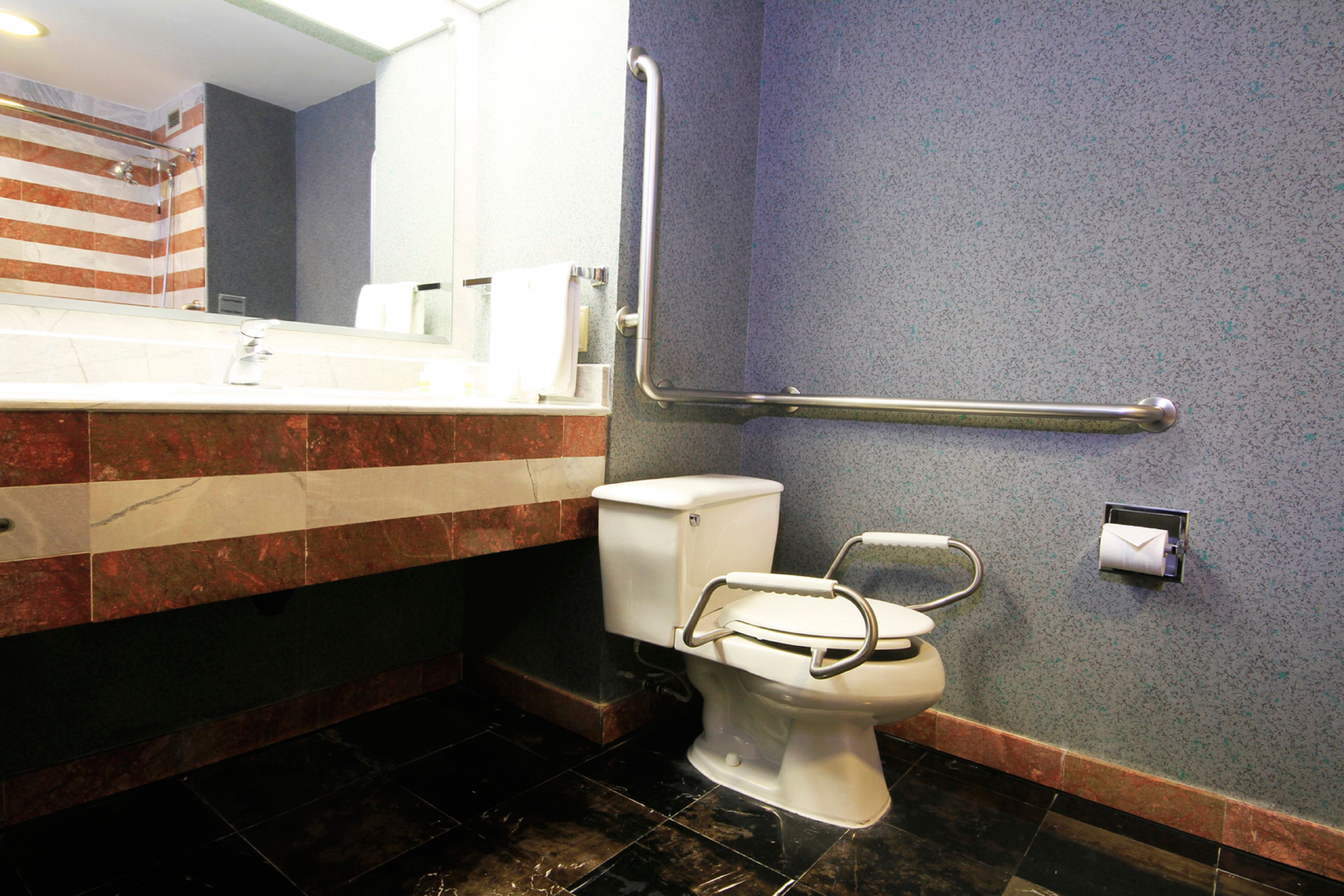 Images Holiday Inn Monterrey-Parque Fundidora