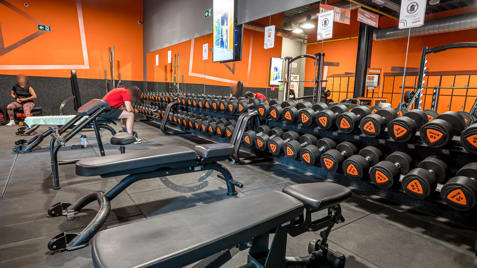 Miniature de la galerie