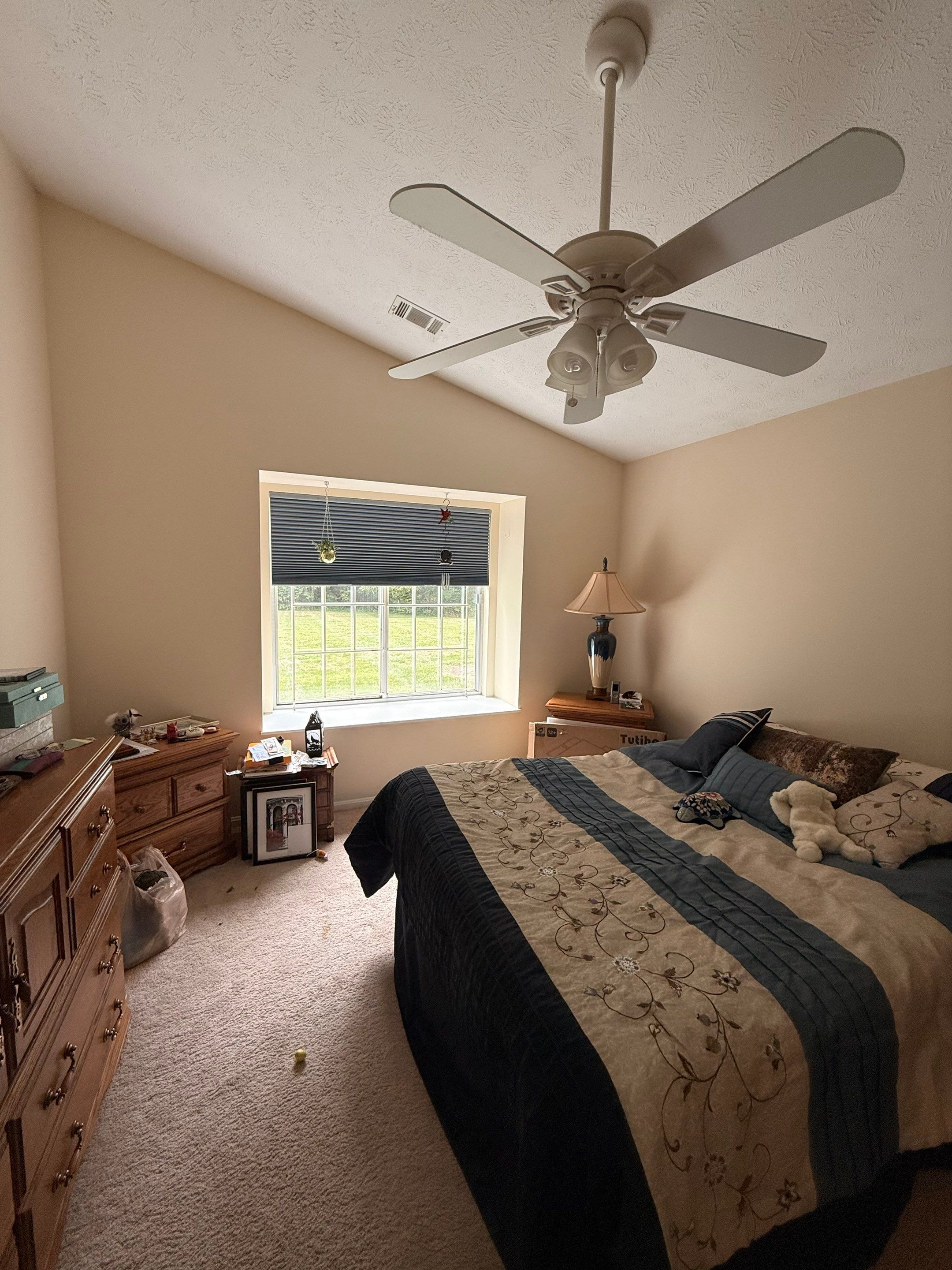 The Final Coat Image