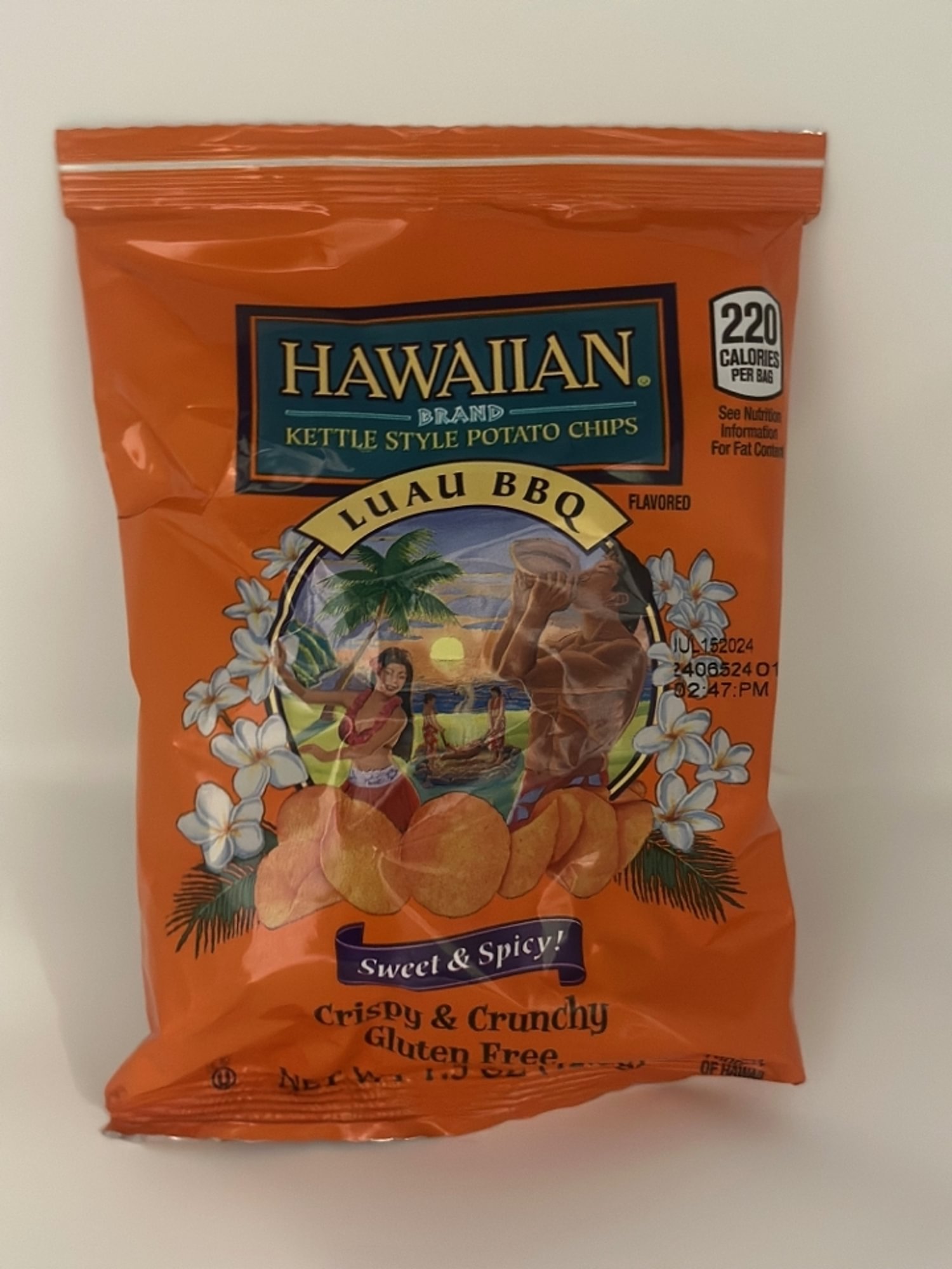 Hawaiian Luau BBQ