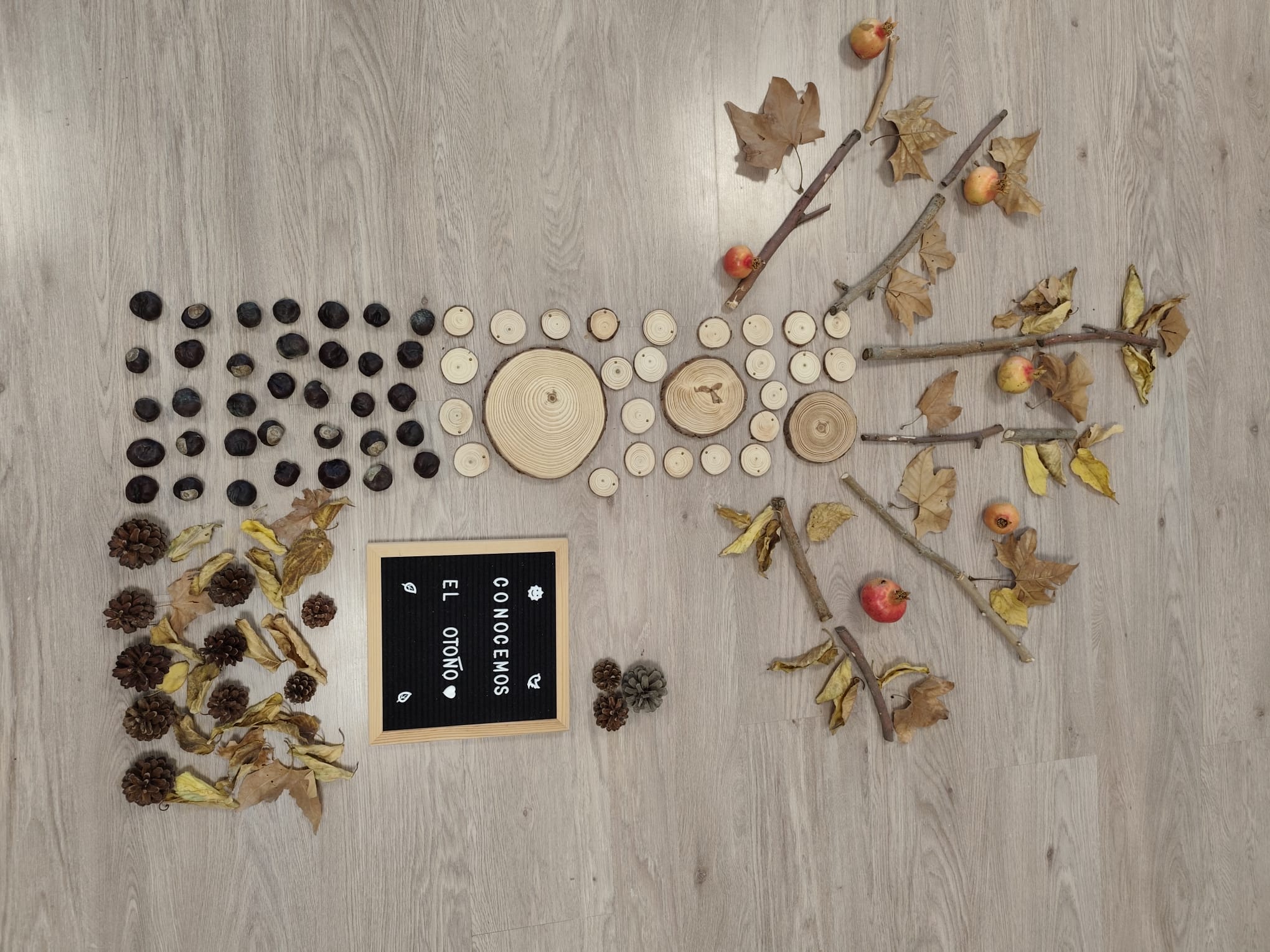 Galería en miniatura