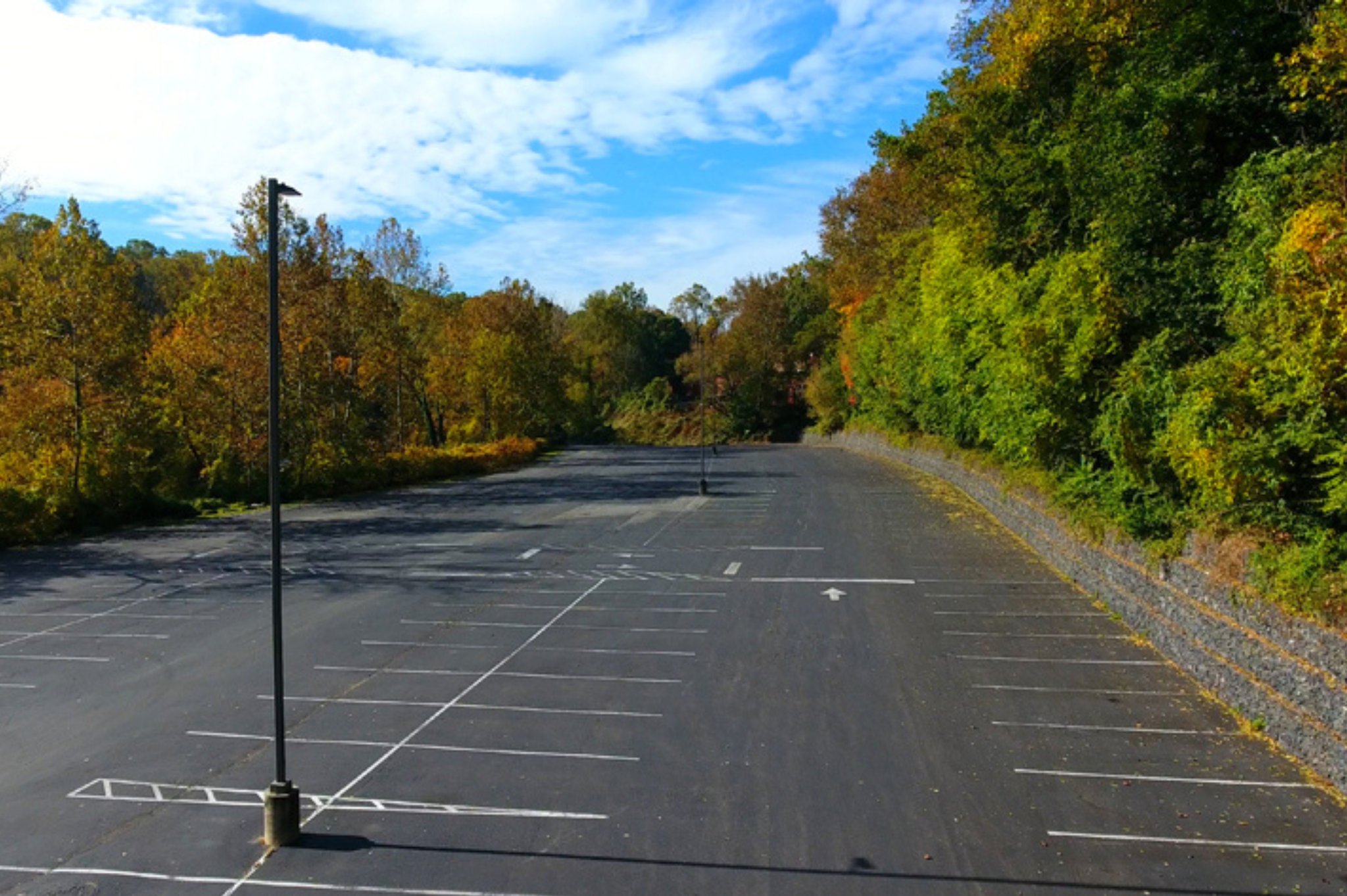 Holiday Inn & Suites Philadelphia W - Drexel Hill by IHG Image