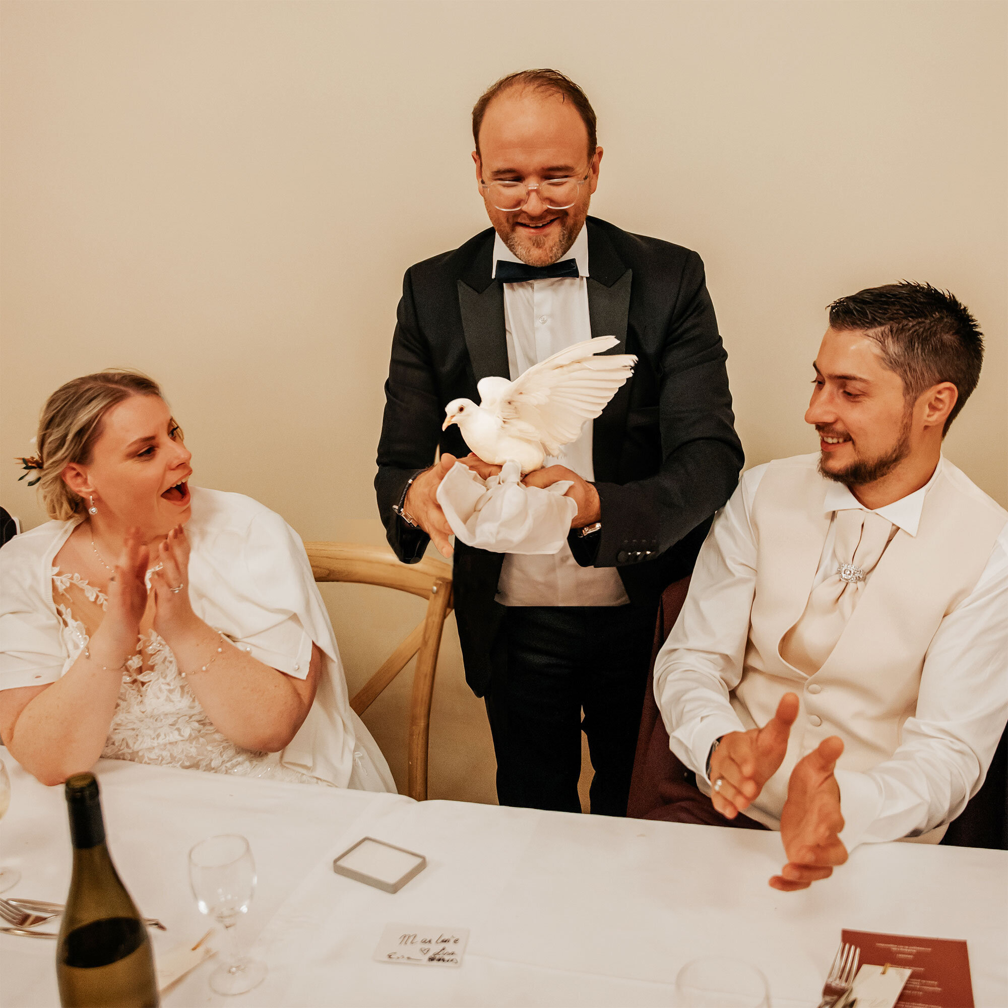 Miniature de la galerie