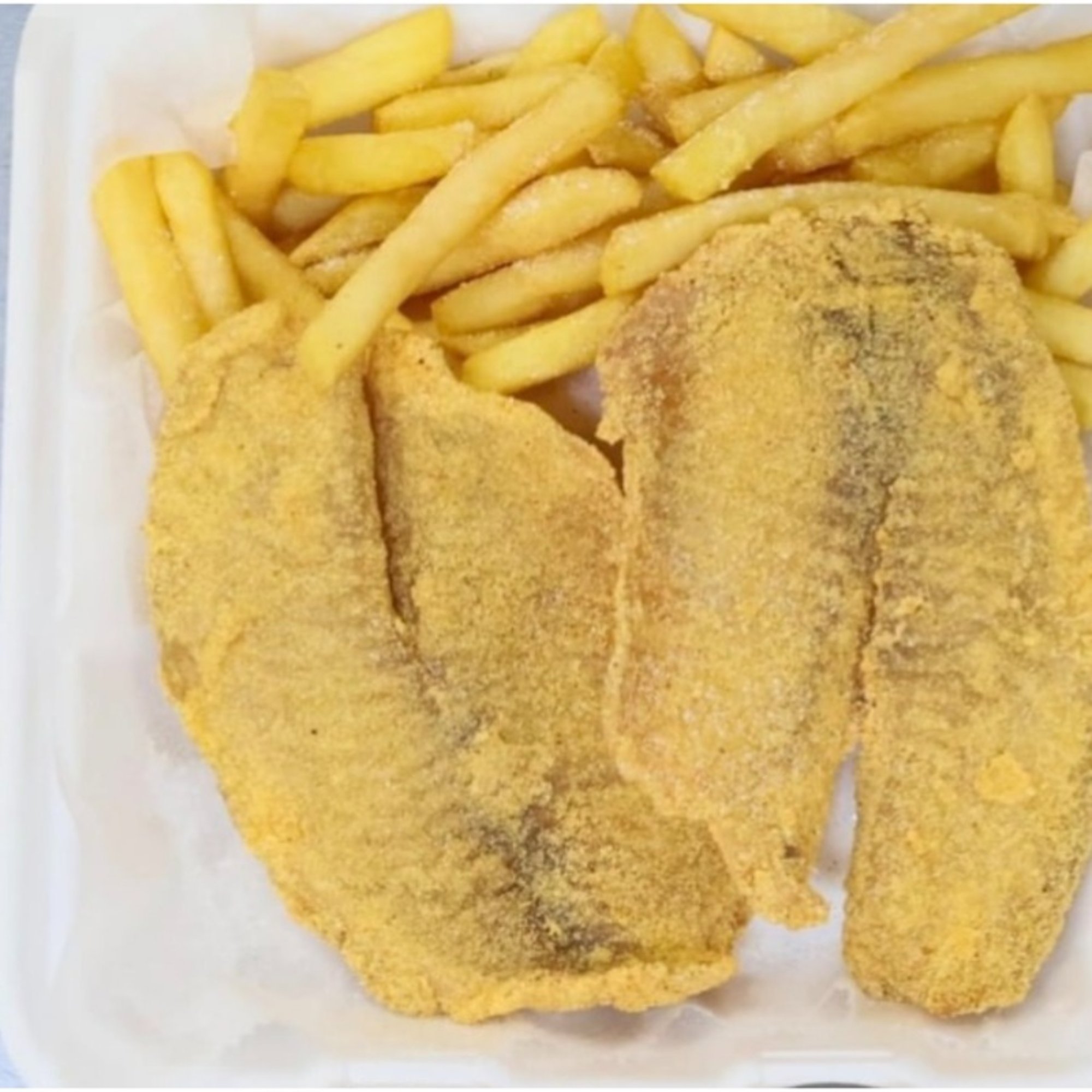 L Tilapia