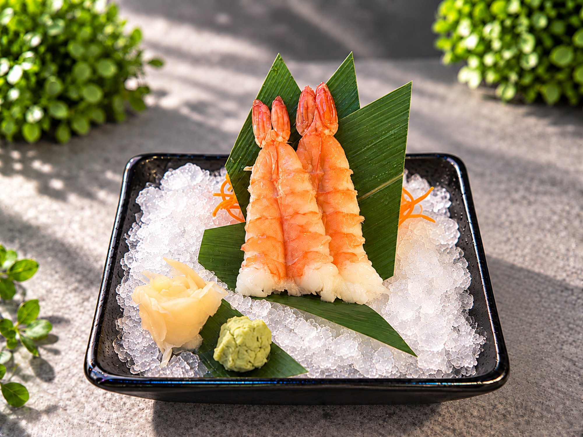 Ebi Sashimi