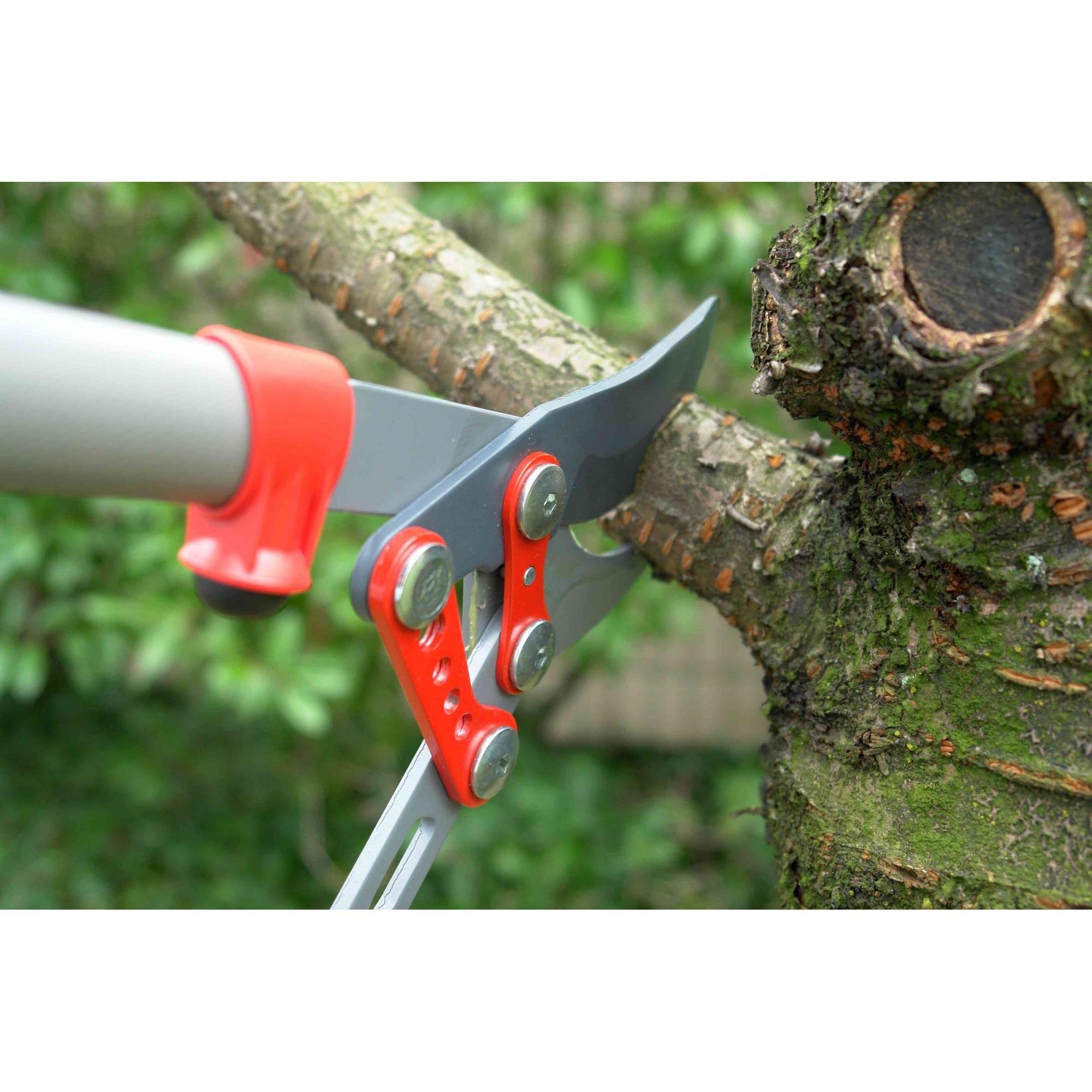 Bound for the Ground Tree Service Logo