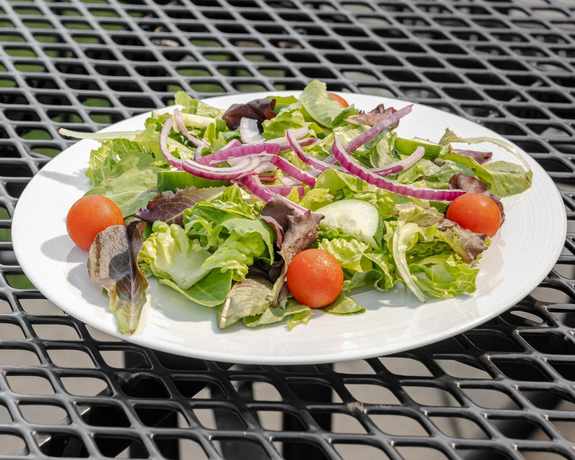 Garden Salad