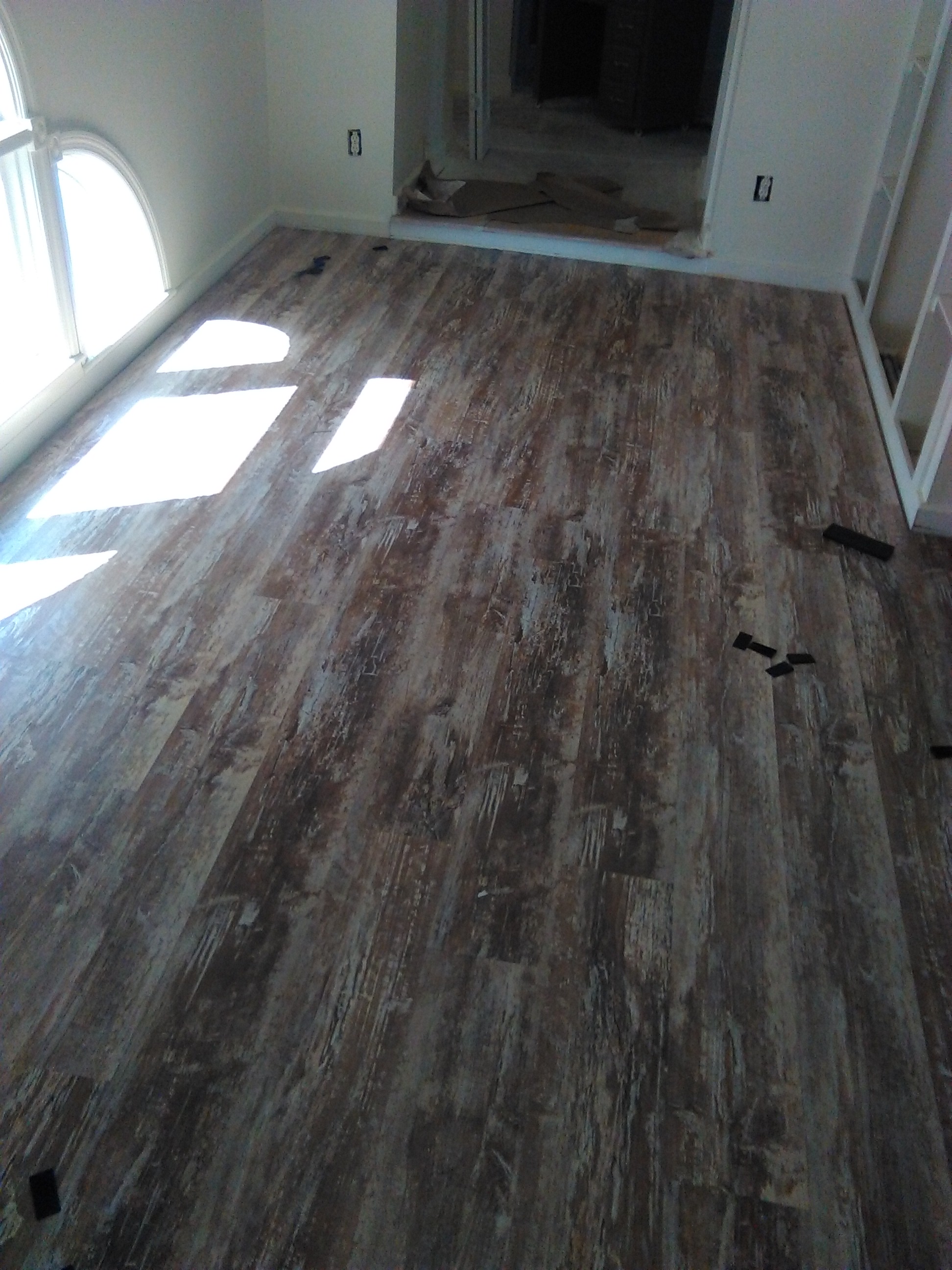 Spider's Construction Image