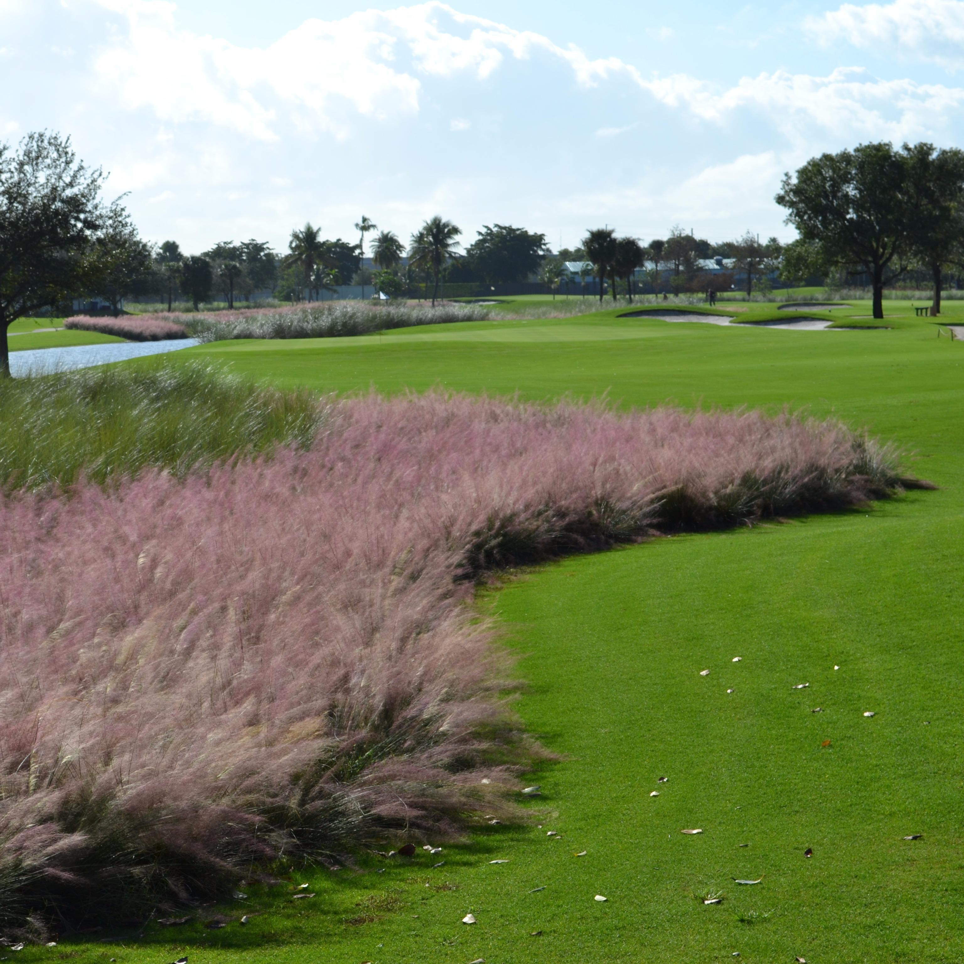 The Bridges at Springtree Golf Club Sunrise, FL Company Profile