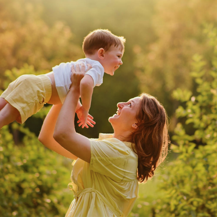 Child Support Attorney
