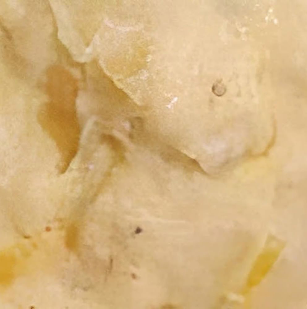 Potato Salad