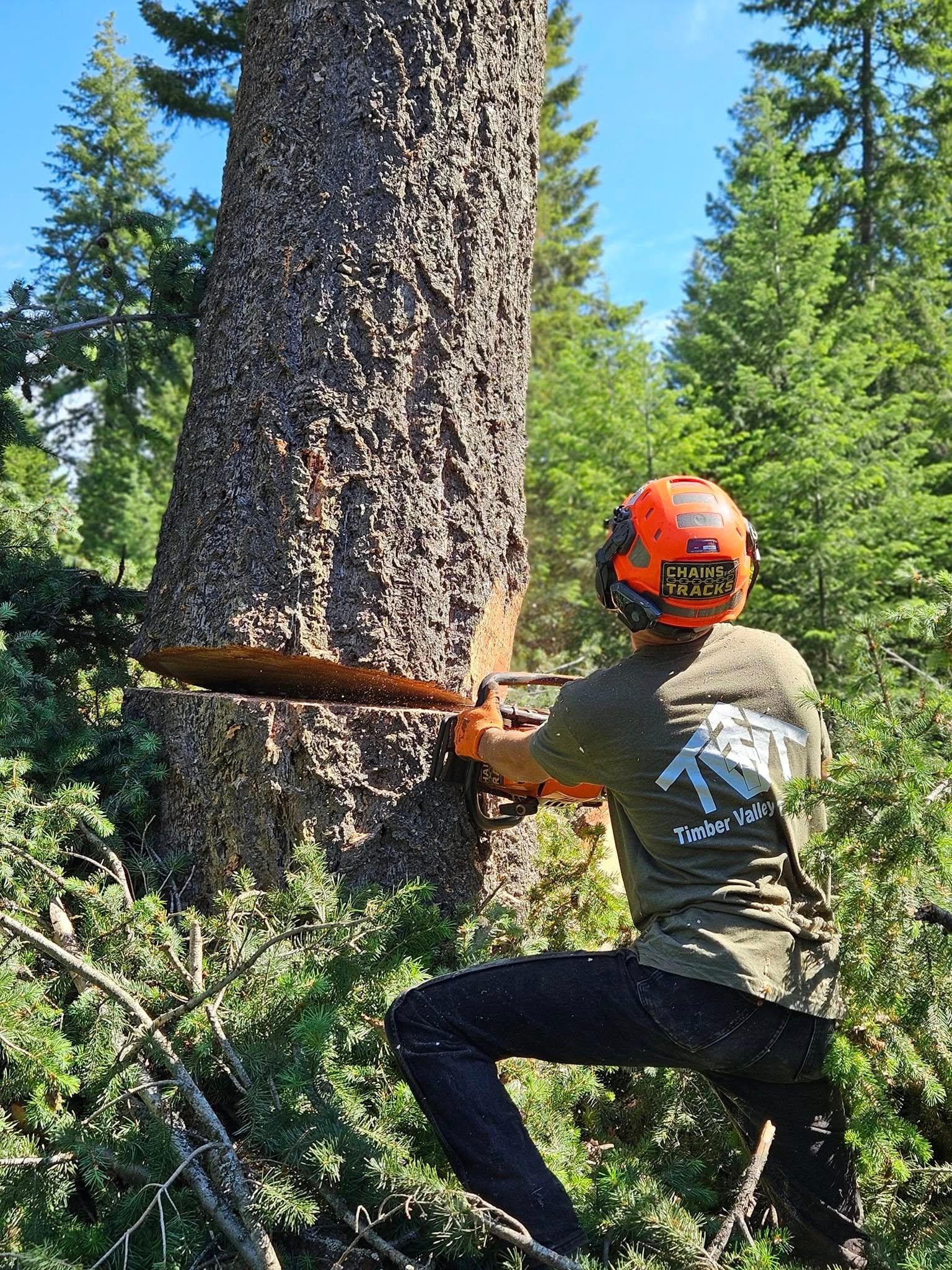 Timber Valley Tree Co. Image