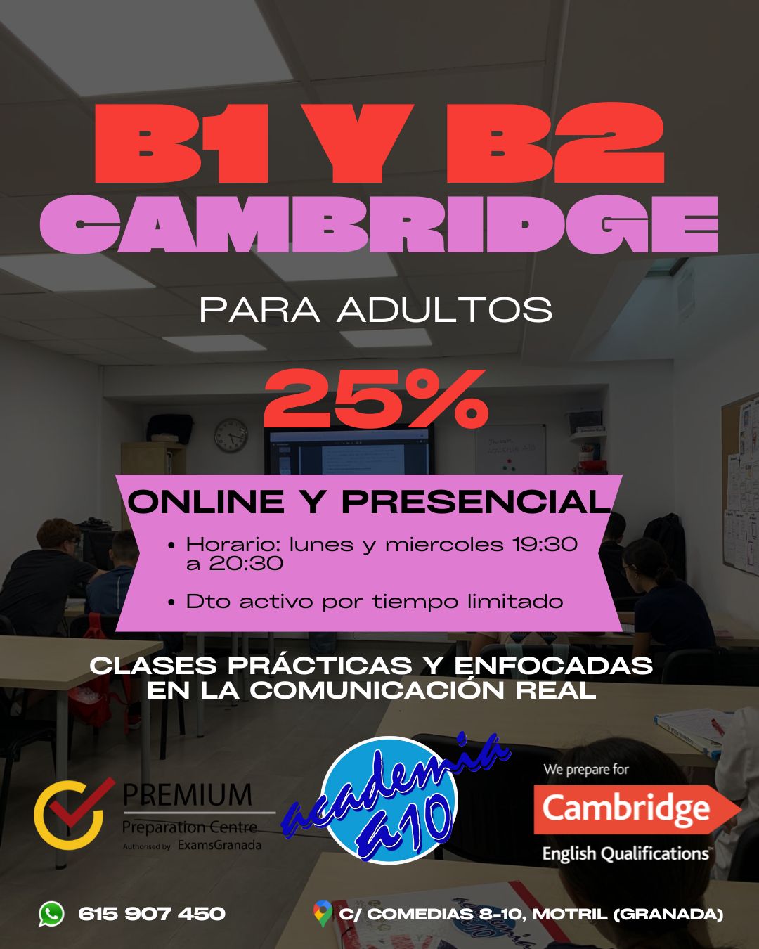 Galería en miniatura