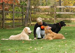 Queen Of The Valley Farm a Pet Resort Photo