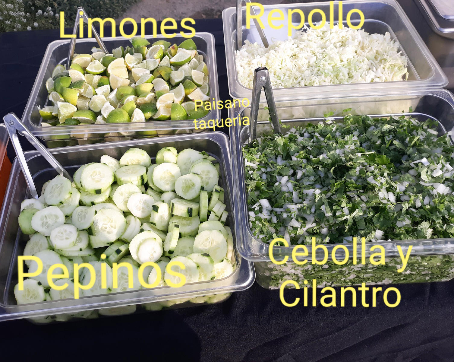 El Paisano Taqueria Logo