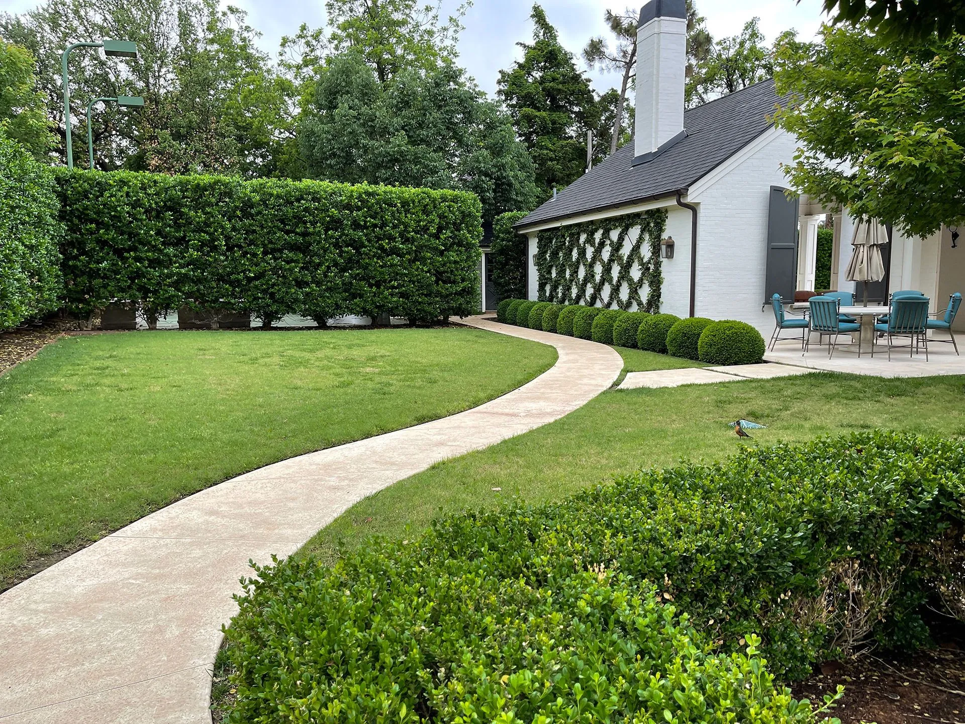 Landscape Design