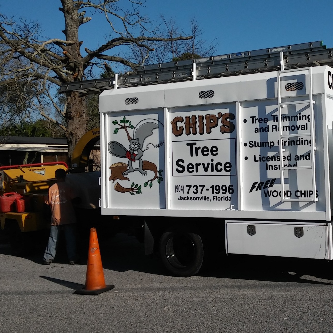 Chip's Tree Service Photo