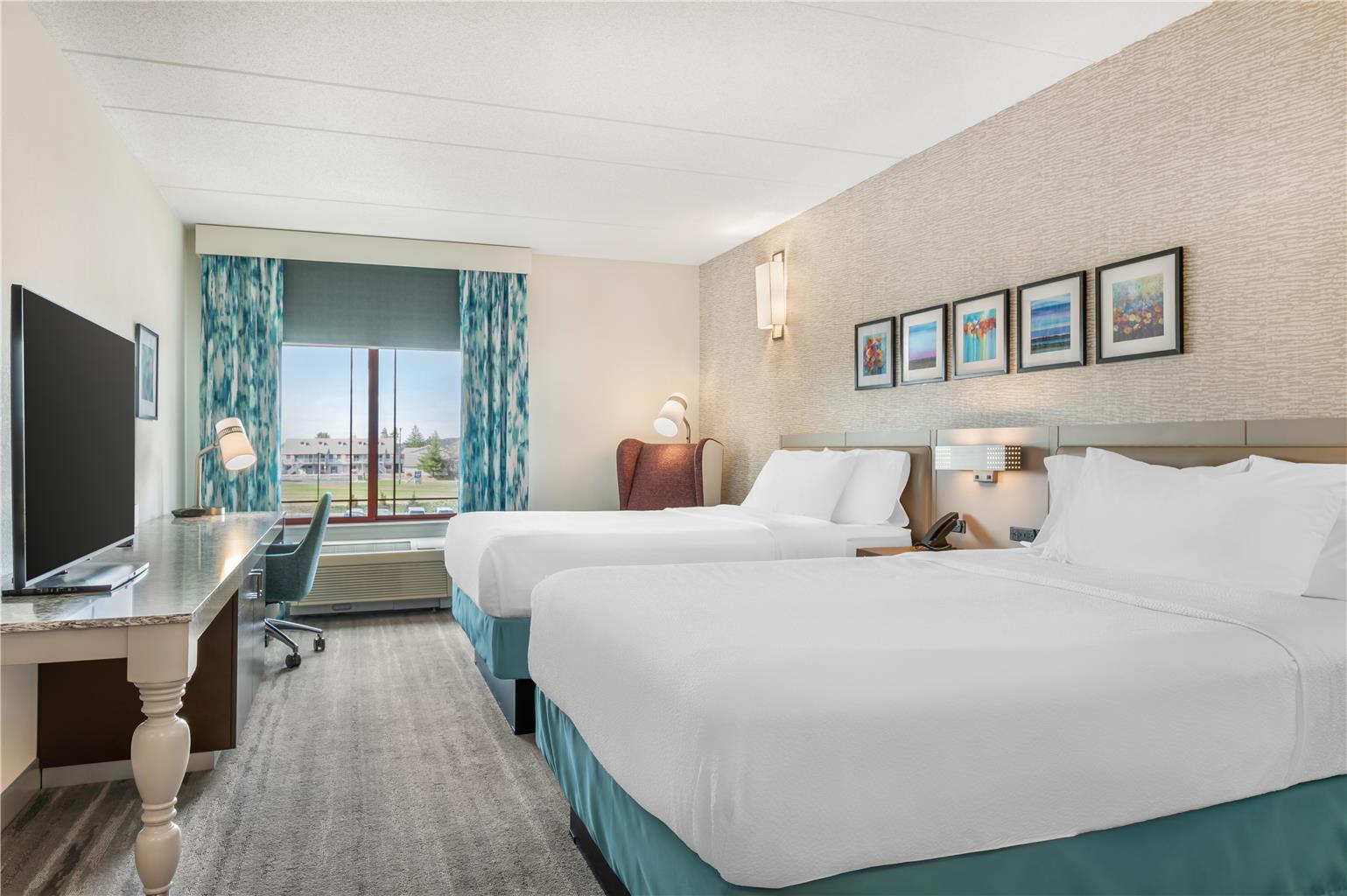 Hilton Garden Inn Wisconsin Dells Image