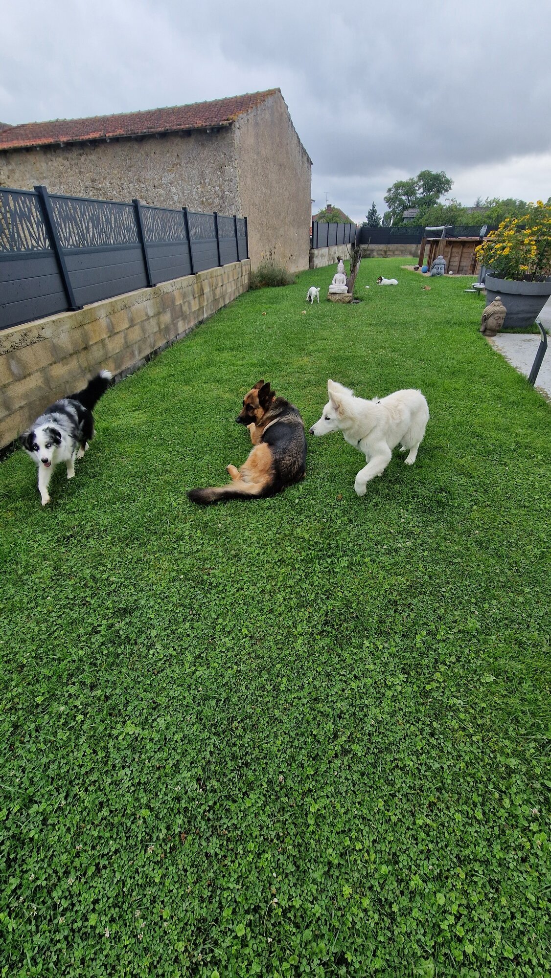 Miniature de la galerie