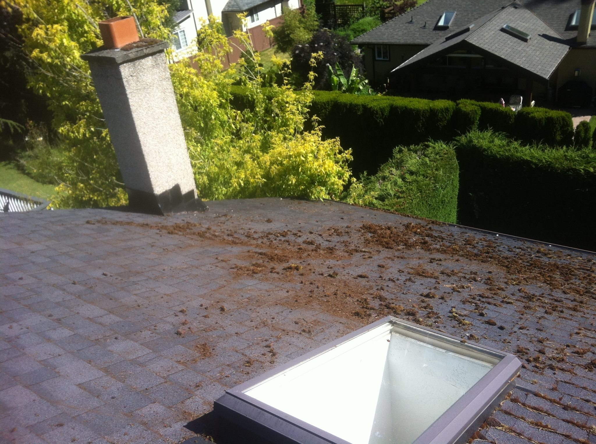 Images Roof Savers Canada