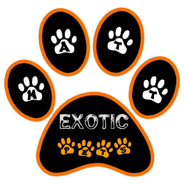 Matt Exotic pets Logo