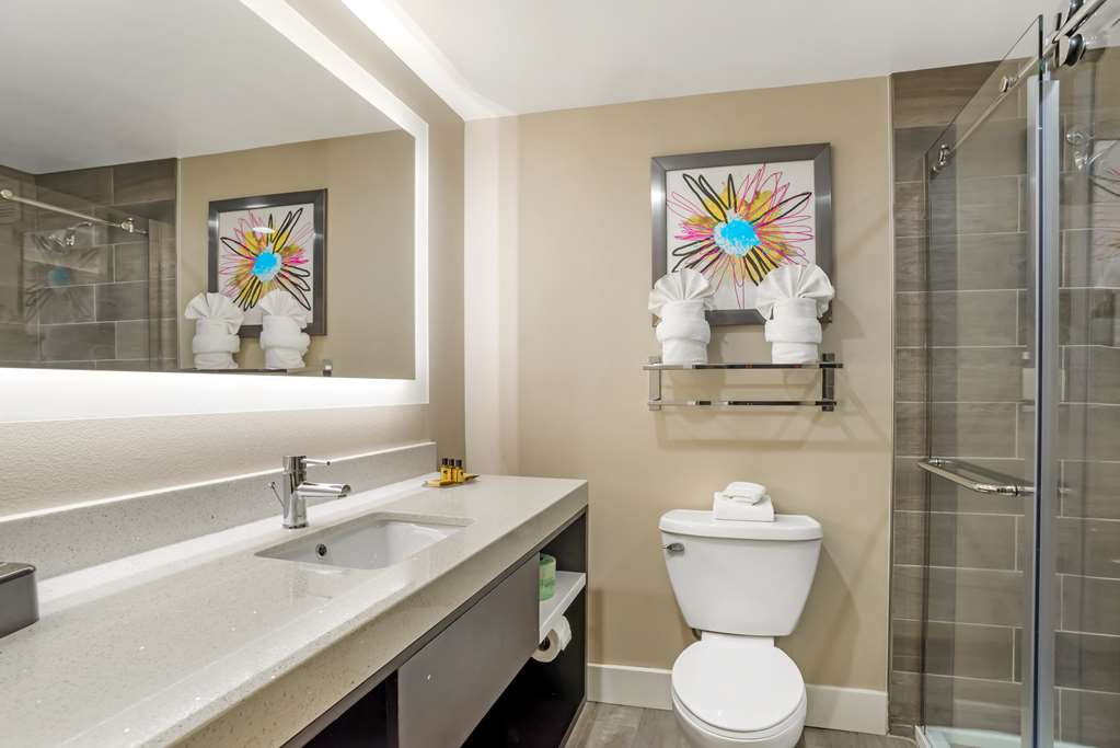 Best Western Plus Greenville I-385 Inn & Suites Image